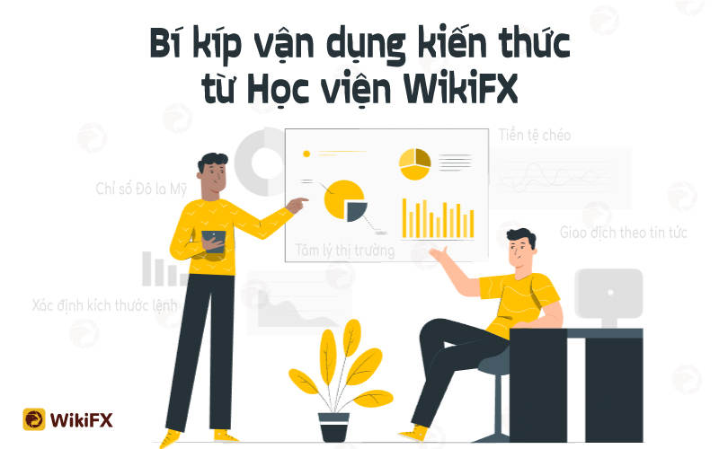 HỌC VIỆN WIKIFX - Vững lý thuyết, DEMO WIKITRADE - Chắc thực hành