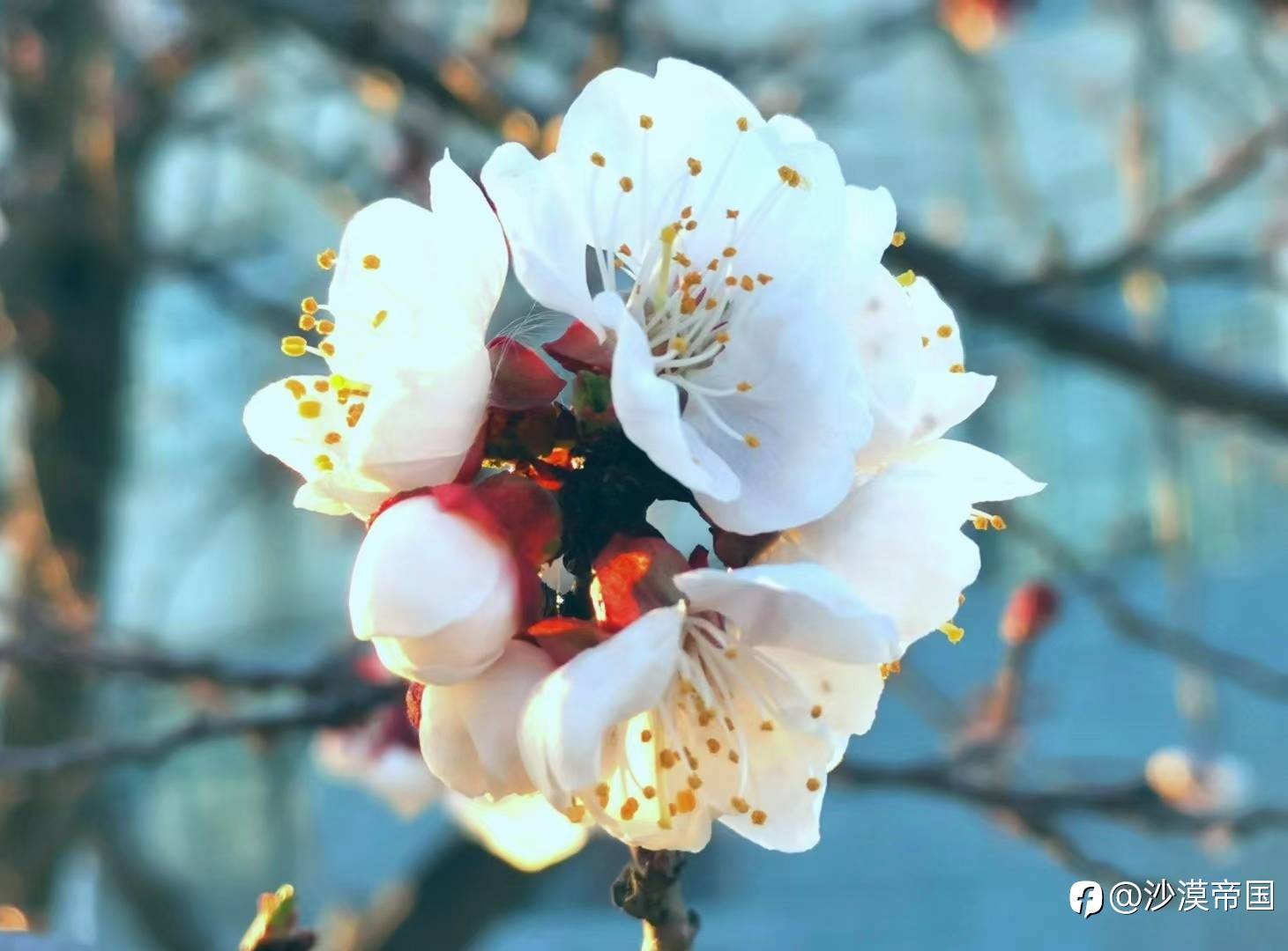 如果取消外卖，关闭电商，恢复人间烟火气和市面繁荣，你同意吗？