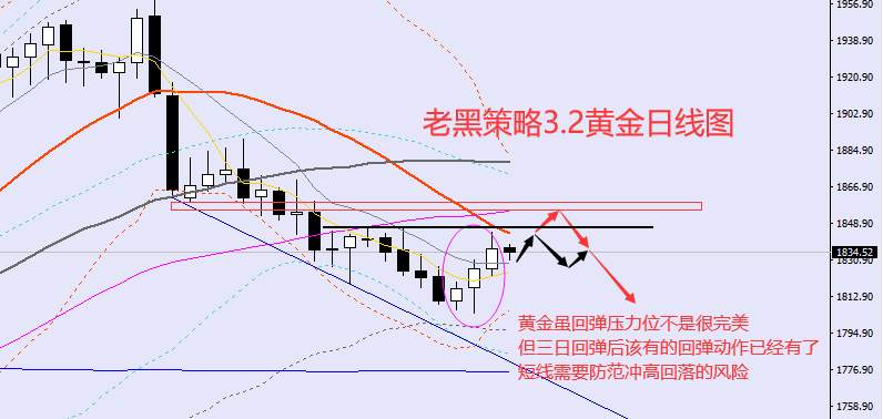 老黑策略：​3.2外汇、黄金、原油分析策略