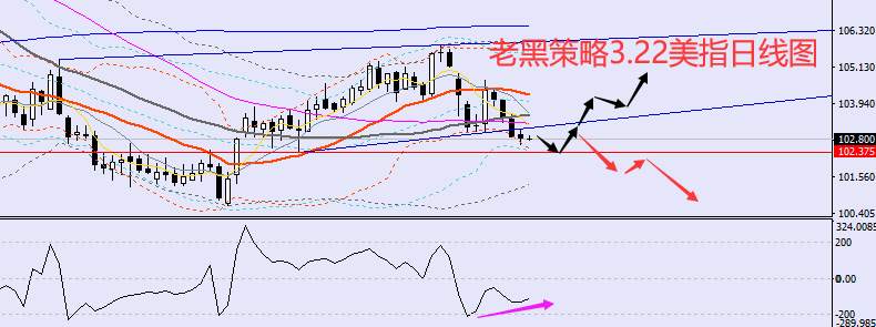 老黑策略：3.22外汇、黄金、原油分析策略