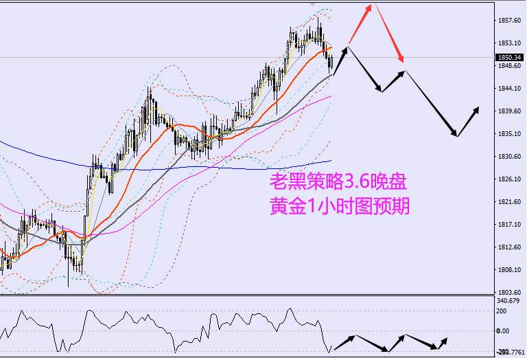 老黑策略：3.6晚盘外汇、黄金、原油分析策略