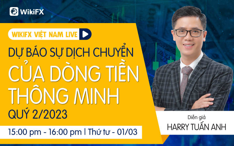Dự báo sự dịch chuyển của đồng tiền thông minh - WIKIFX VIETNAM LIVE