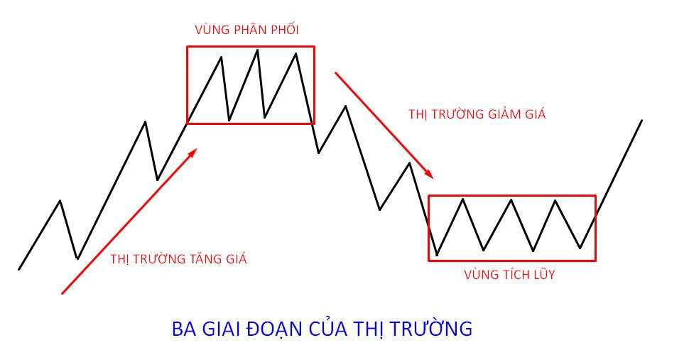 Lý thuyết Dow là gì? 6 nguyên tắc và ứng dụng trong Forex, Coin