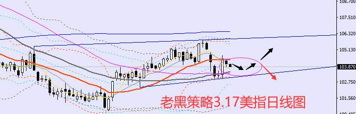 老黑策略：​3.17外汇、黄金、原油分析策略