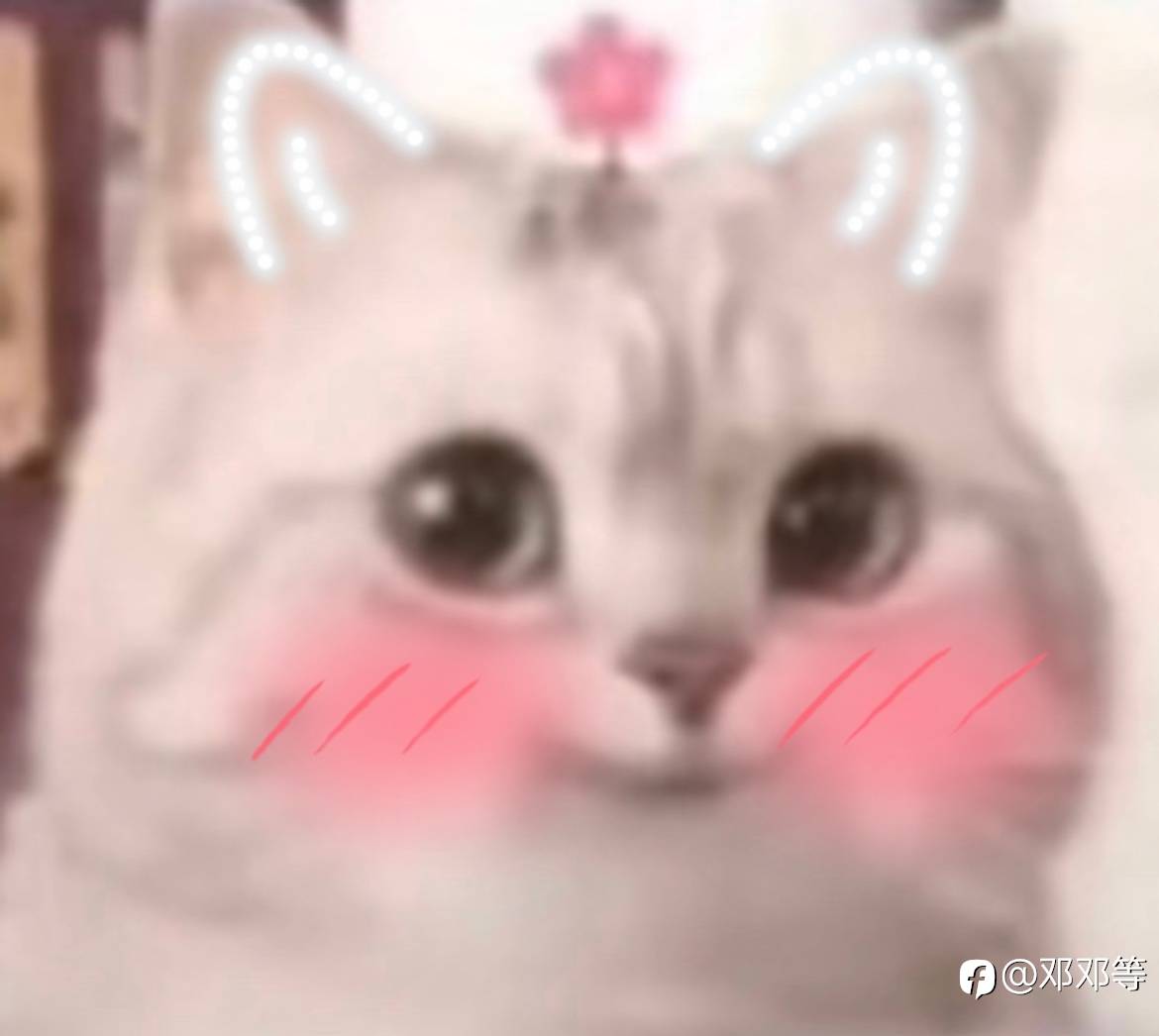 早上好