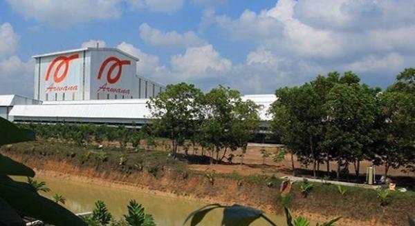 Arwana Citramulia (ARNA) Bayar Dividen Rp55 per Saham Hari Ini
