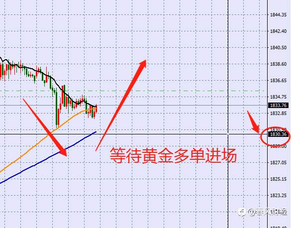黄金策略分析