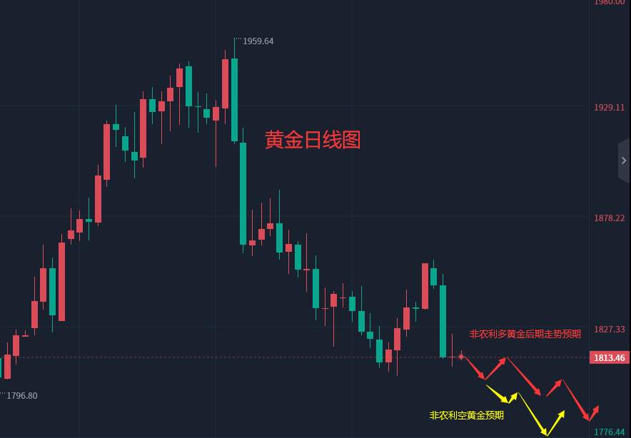 张轩昊：3.9外汇、黄金、原油分析策略