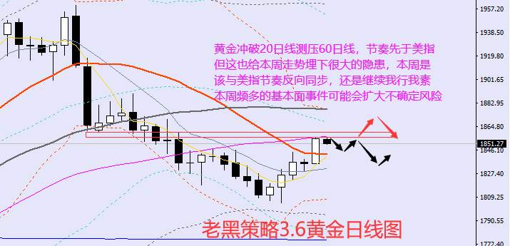 老黑策略：3.6外汇、黄金、原油分析策略