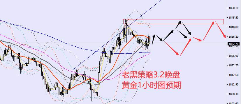 老黑策略：3.2晚盘外汇、黄金、原油分析策略