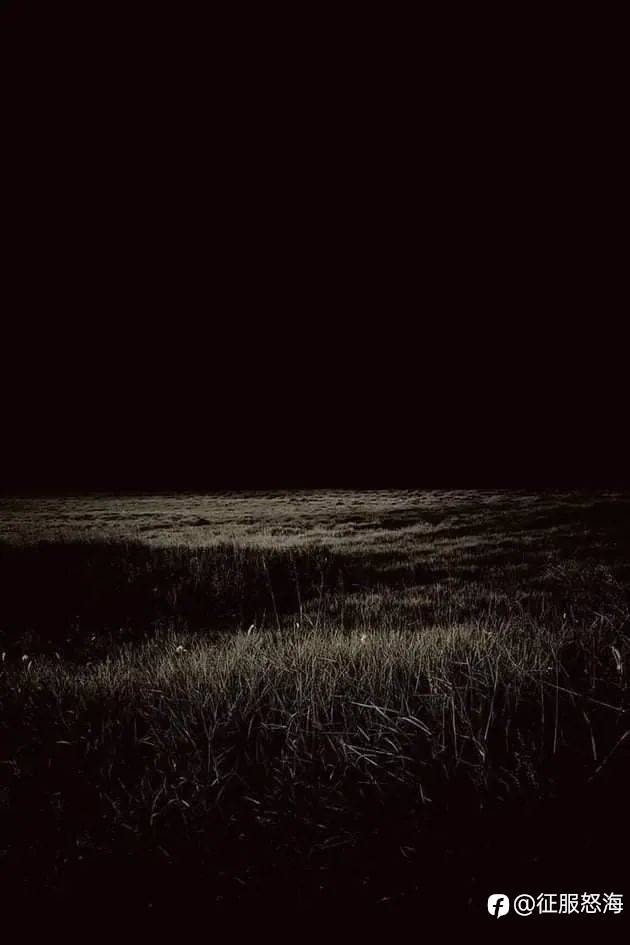 feed-image-1