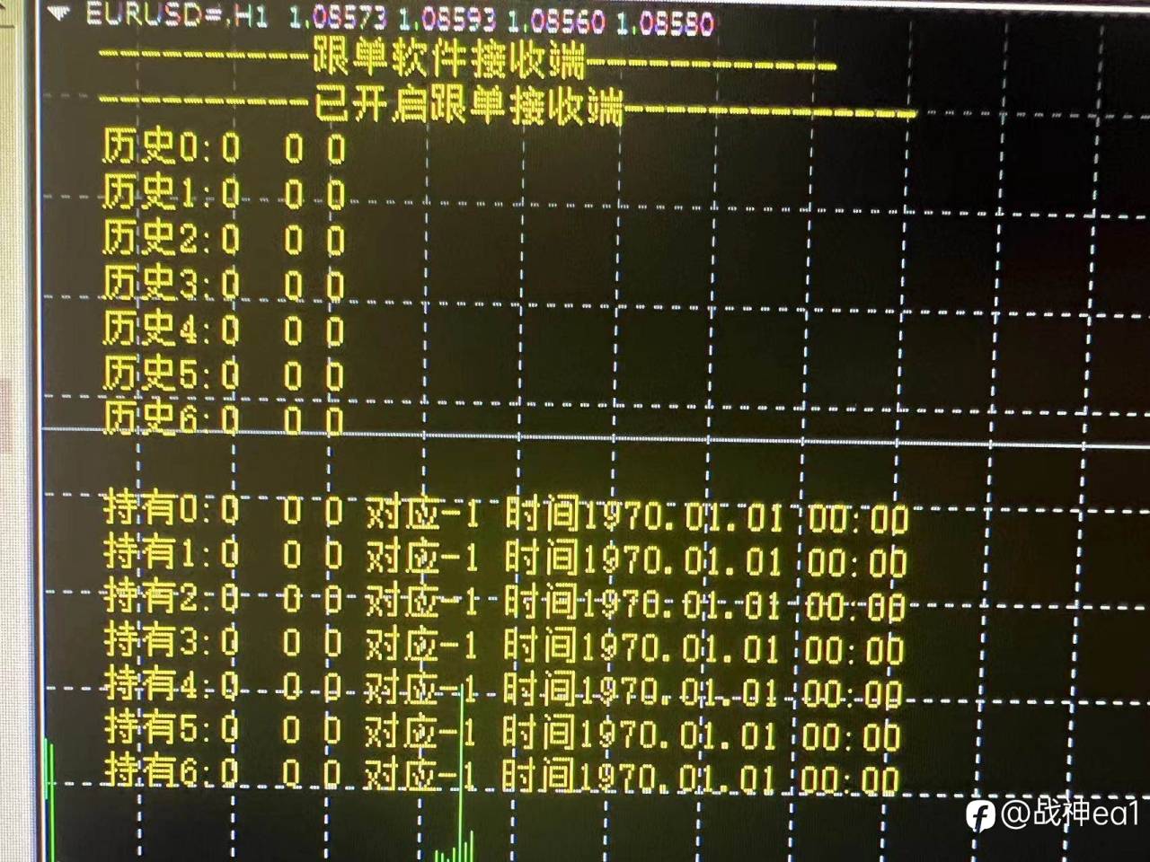 feed-image-1