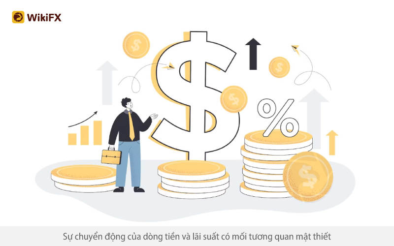 Dự báo sự dịch chuyển của đồng tiền thông minh - WIKIFX VIETNAM LIVE