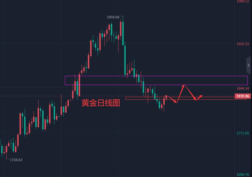 张轩昊：3.1外汇、黄金、原油分析策略