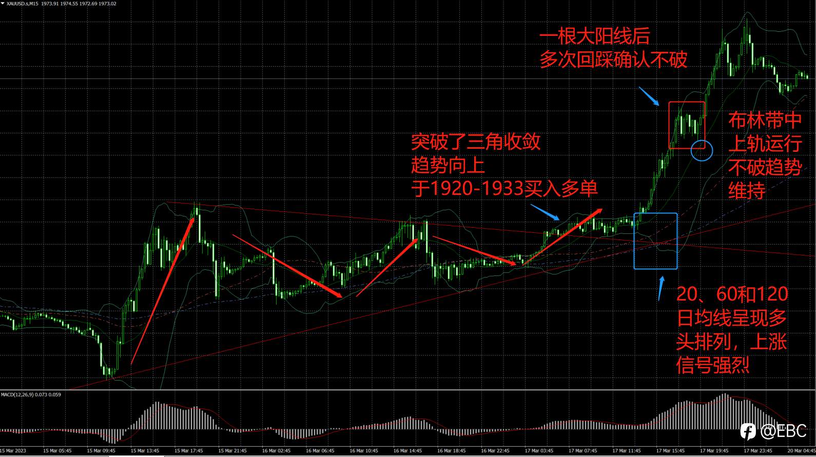EBC百万美金交易大赛|新王换旧王，黄金捕手1天20倍收益！4位20倍选手同台亮相，续写交易华章