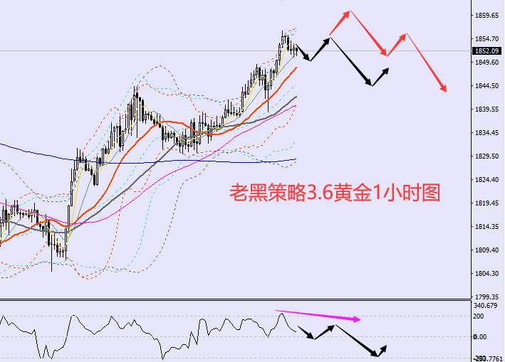 老黑策略：3.6外汇、黄金、原油分析策略