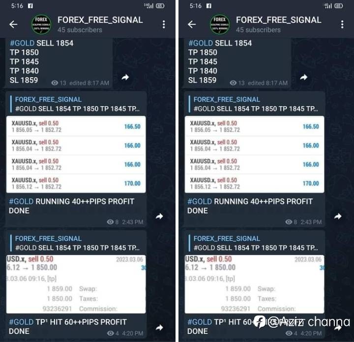 feed-image-2