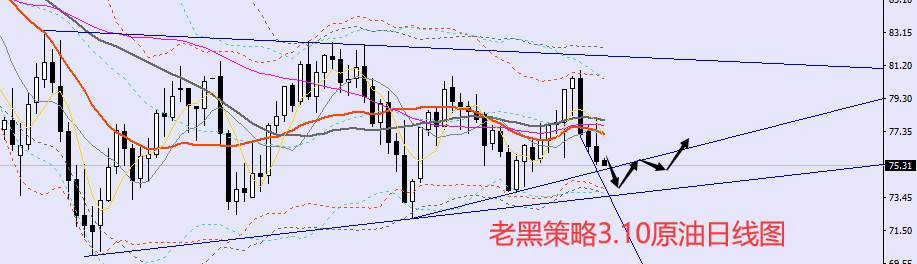 ​老黑策略：​3.10外汇、黄金、原油分析策略