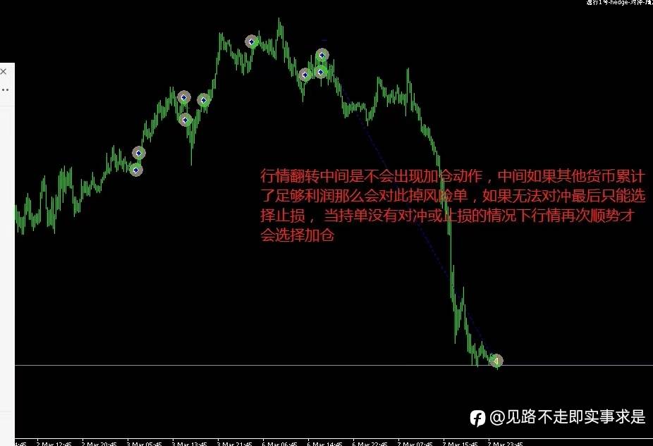 feed-image-2