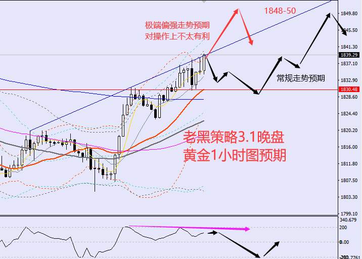 老黑策略：3.1晚盘外汇、黄金、原油分析策略