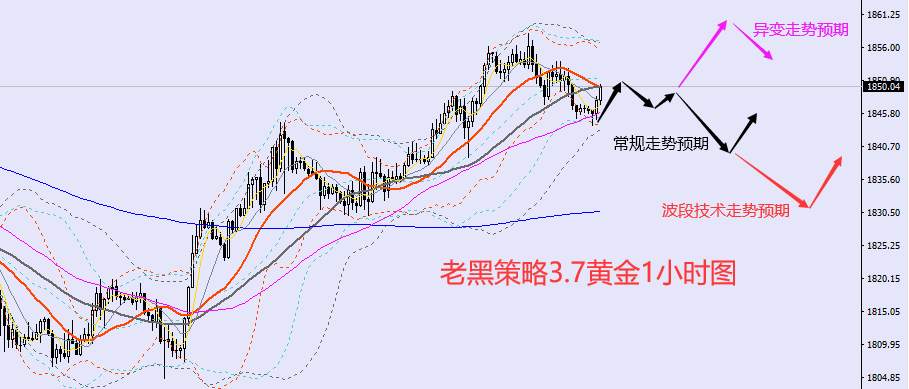 老黑策略：3.7外汇、黄金、原油分析策略