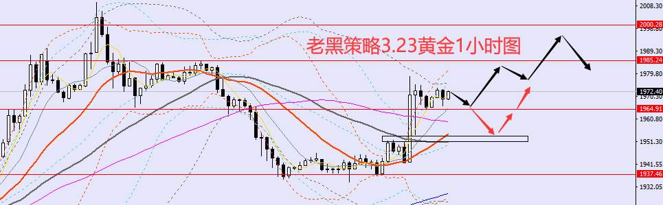 老黑策略：​3.23外汇、黄金、原油分析策略
