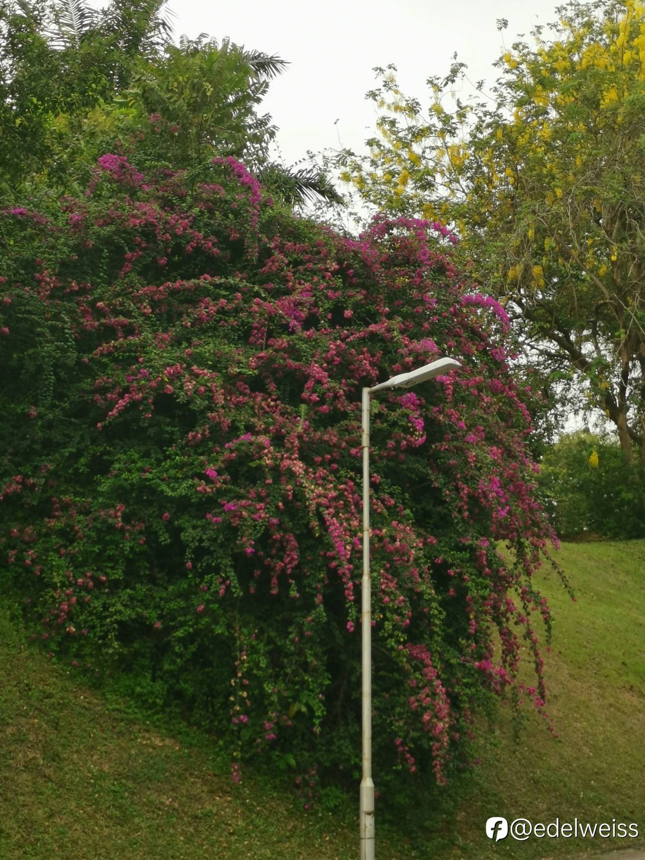 feed-image-1