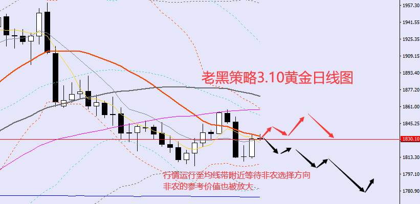 ​老黑策略：​3.10外汇、黄金、原油分析策略
