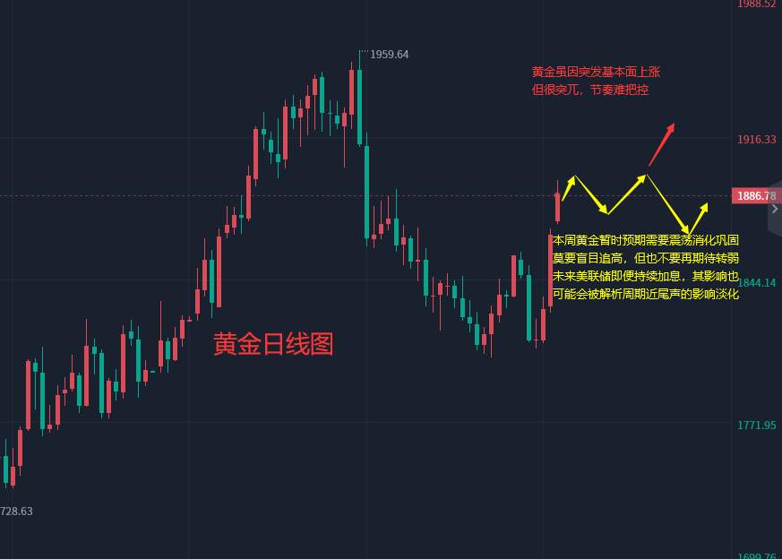 张轩昊：3.13外汇、黄金、原油分析策略