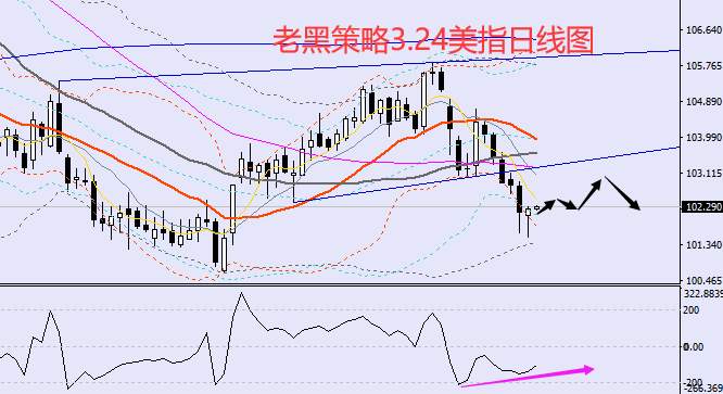 老黑策略：3.24外汇、黄金、原油分析策略