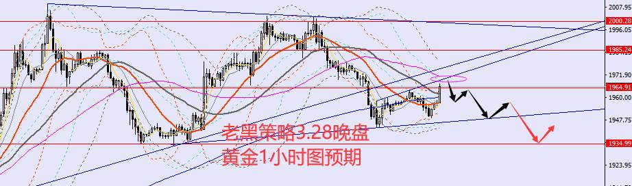 老黑策略：3.28晚盘外汇、黄金、原油分析策略