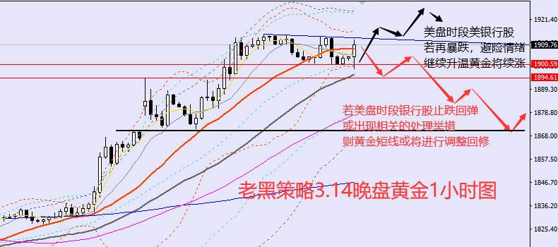 老黑策略：3.14晚盘外汇、黄金、原油分析策略