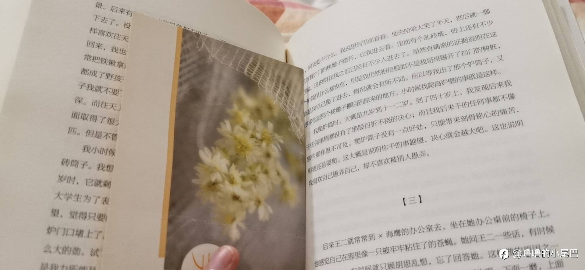 feed image