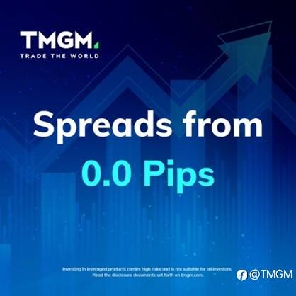 恭喜!TMGM荣获知名平台最佳人气交易商TOP10奖!