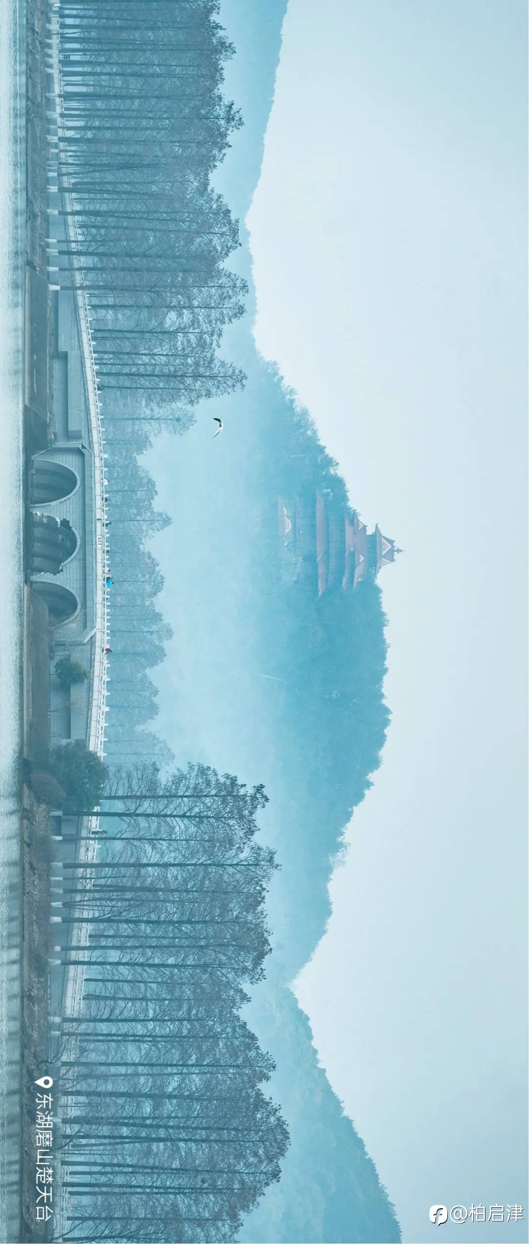 市场如同做人选择大于努力