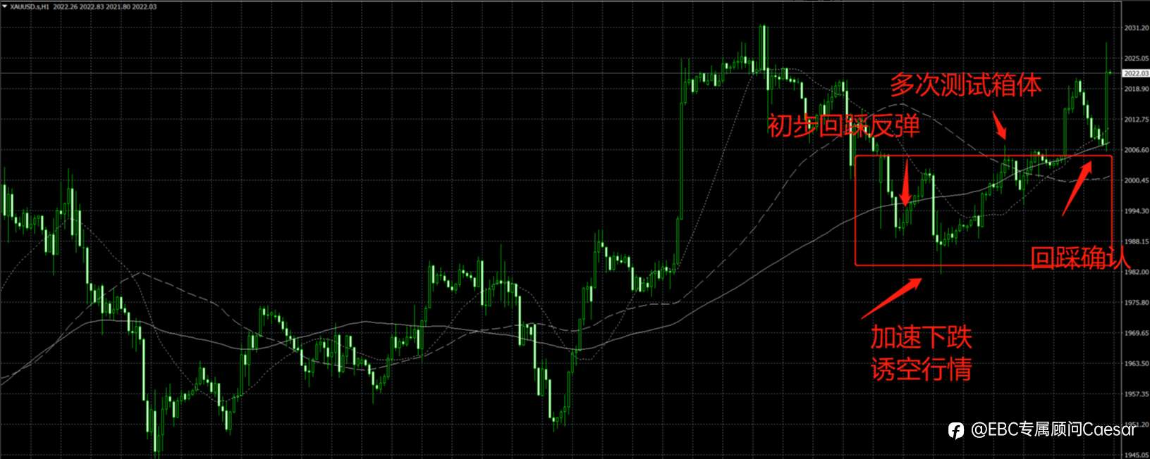 EBC百万美金交易大赛 | 即将冲顶100倍收益！EA交易之王一战致胜，一夜50倍盈利收割CPI行情