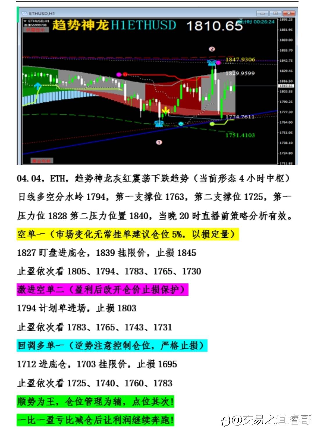 feed-image-1