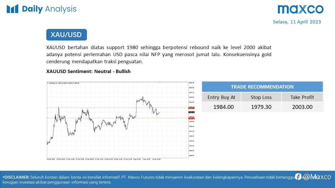 Daily Analysis 11/4