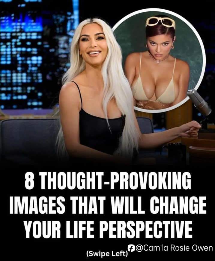 Life 🧬 Help