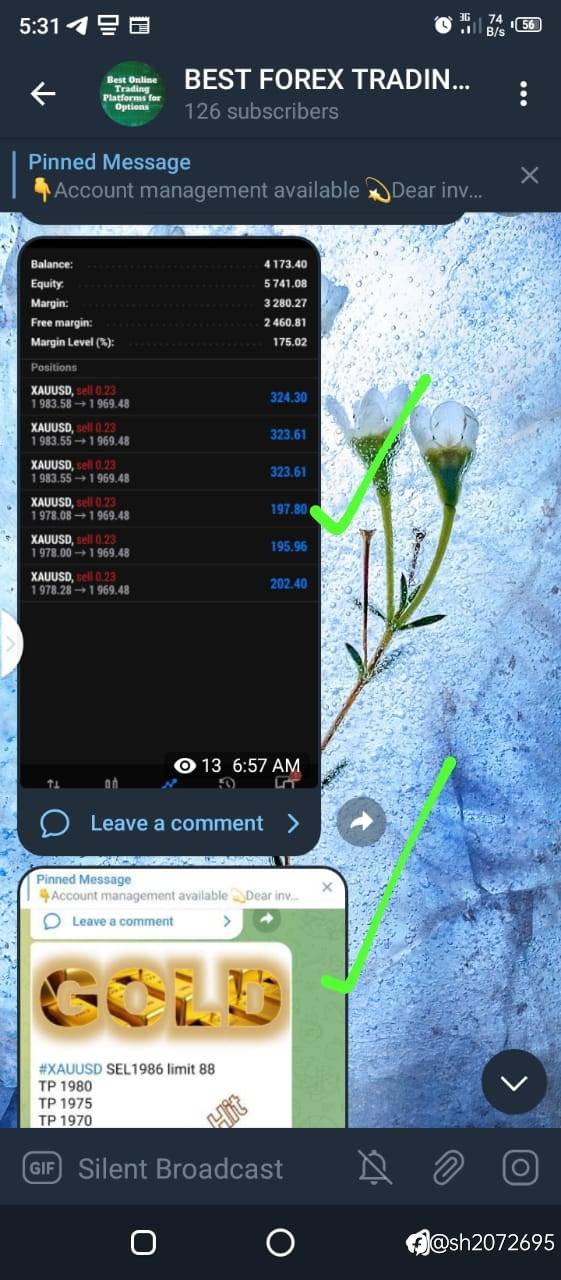 feed-image-1