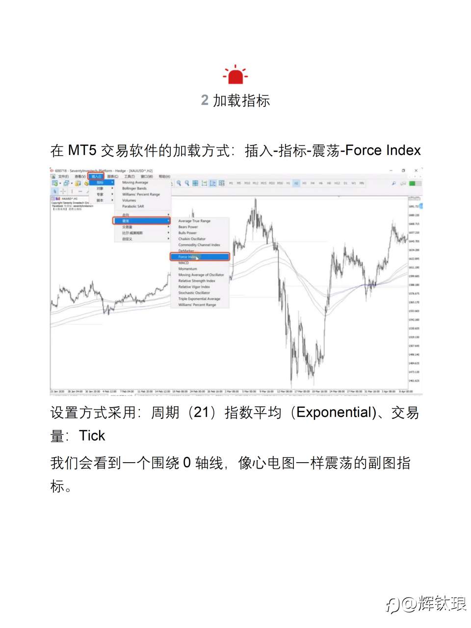 Force Index