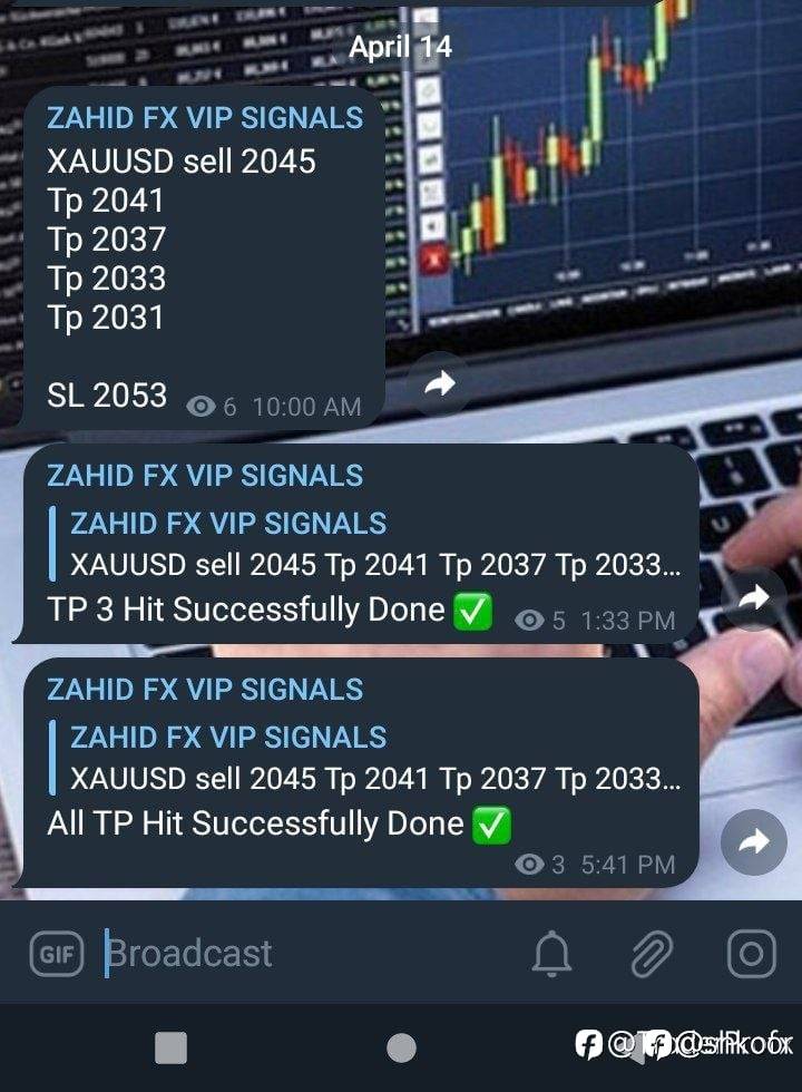 feed-image-0