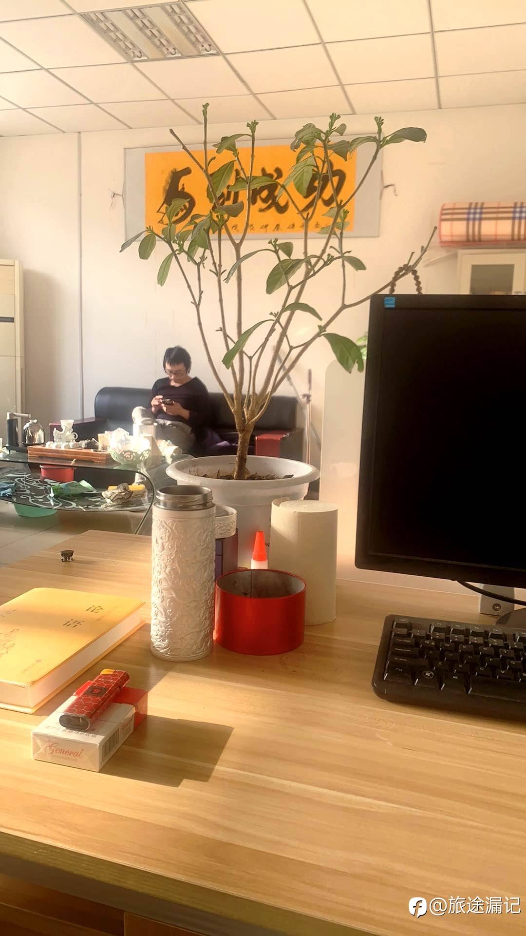 feed-image-2