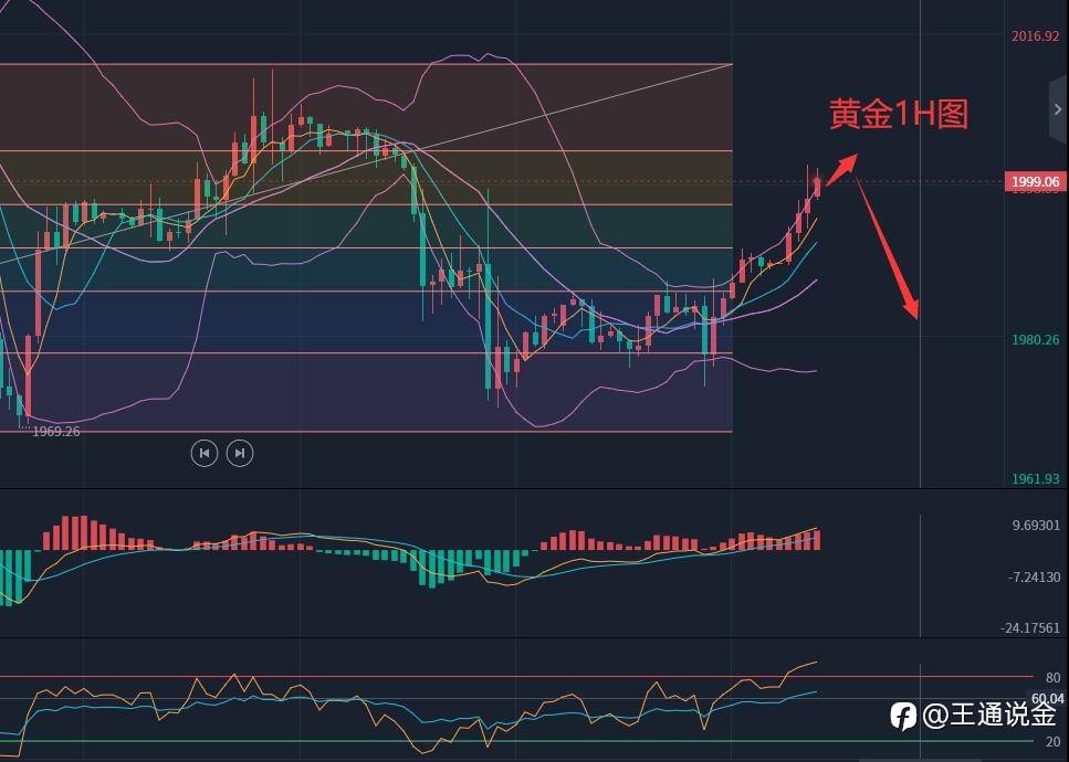 黄金开盘出现上涨趋势，是上涨还是回调