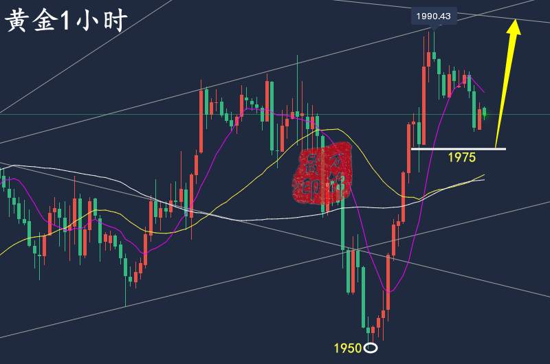 万锦晟4.4黄金为何大跌大涨？黄金深V反转今日先多！