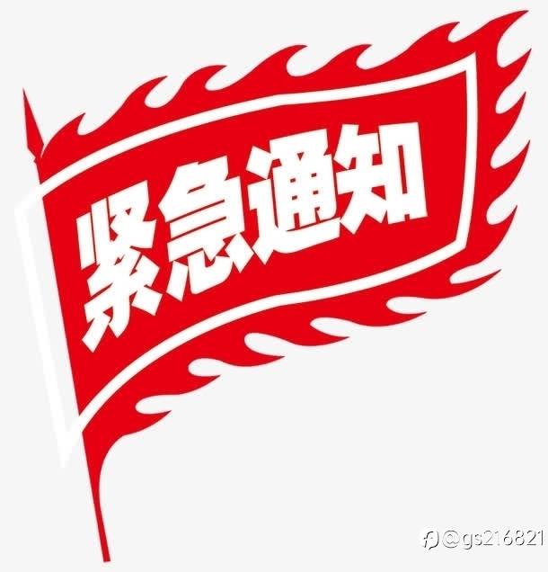 feed-image-1
