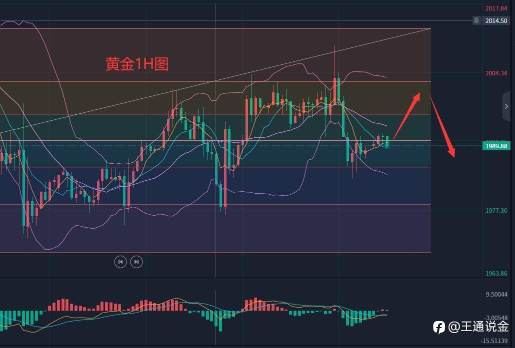 震荡不停的黄金