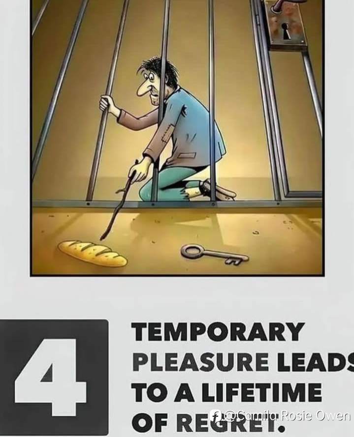 Life 🧬 Help