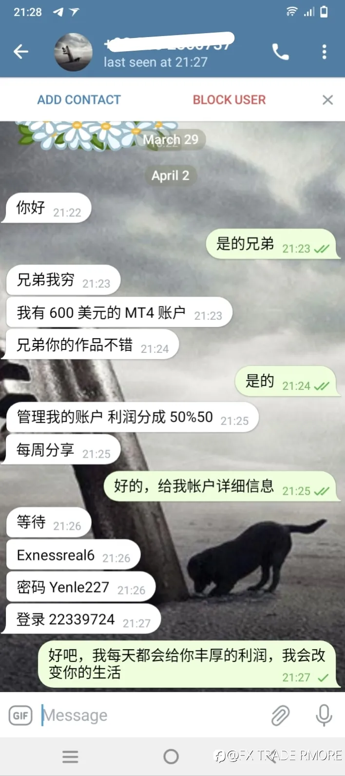feed image