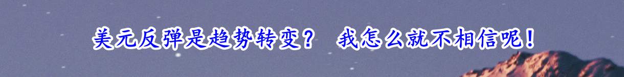 美元反弹是趋势转变？ 我怎么就不相信呢！